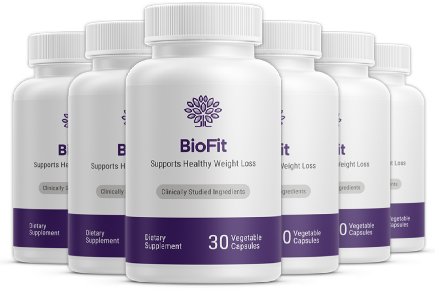 BioFit